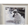 Image 2 : Limited Edition "Blue Shadows , Arctic Fox" Framed Print By Artist Ron Parker. 