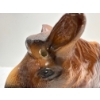 Image 3 : Chalk Canadian Moose Sitting Dish, Missing Antlers 9W