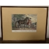 Image 2 : Antique Print Cheval de Pruefe Equis Borugicus 26 x21