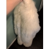 Image 7 : Elegant Luxurious & Truly One Of A Kind Mongolian Lamb Fur Coat - Ladies Size S-M