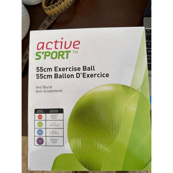 active sport 55cm excersize ball