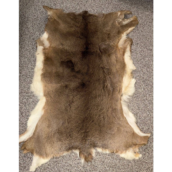 Deer Rug 54L