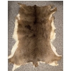 Image 1 : Deer Rug 54L