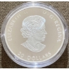 Image 3 : 2022 $20 Remembrance Day Fine Silver Coin 31.39 Grams