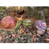 Image 1 : Ceramic Hand Painted Snails and Frog