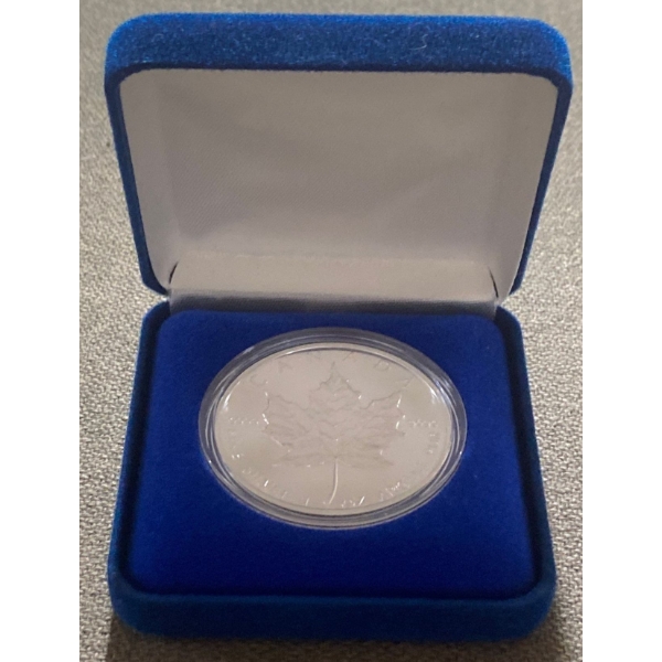2002 One Ounce Fine Silver Coin