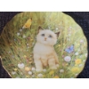 Image 5 : "Purr-fect Companions" Collectable Brandford Exchange Plates 