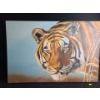 Image 1 : Tiger Face Painting, "Survivor" Signed: Robert Landry, Mounted on Frame, 36 X 24