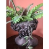 Image 4 : Ceramic Planter of Woman w/ Rose Crown 12 W, 15 T, Includes Artificial Fern Stems