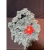 Image 2 : 17 Foot Artificial Pine Garland With Decorative Stems and Wreaths