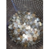 Image 2 : Bin w/ Outdated Foreign Coins- 107.0 Pounds Weighed w/ Basket, Provided w/ Bin