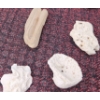 Image 13 : Coral and Fossil Fragments