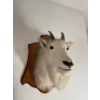 Image 2 :  mountain goat great art piece for man cave or she den 