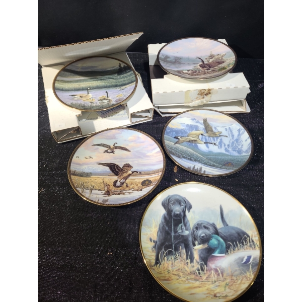 Decorative Wildlife Plates