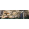 Image 2 : Contents of Cupboard: Dinnerware, Mugs, Cups