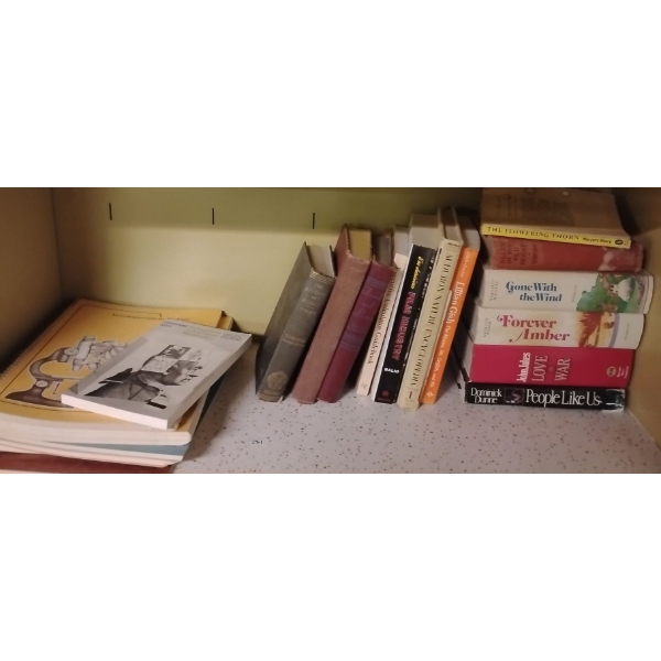 Book Collection Ft. Mickey Mouse 1968