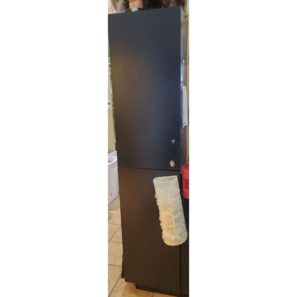 7ft Tall Cabinet Full of Salon Products - Semi Permanent Color Toner Developer & More