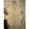 Image 1 : Goat Skin Rug