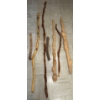 Wood Walking Stick Collection