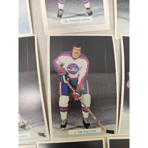 Vintage Winnipeg Jets Hockey Player Trading Cards
