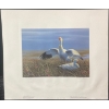 Image 2 : Jean-Luc Grondin "Snow Geese at Nest" Signed Wildlife Habitat Canada Print