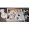 Image 1 : Collection of Birds- Doves- Box: 4.5 Diameter, 6.5 T, Owls and More!