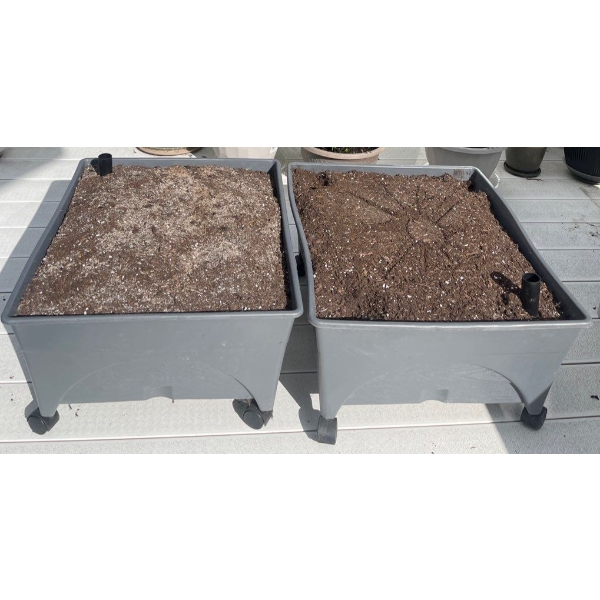 Two Elevated Self Sustaining Planters on Casters - Multi Material Layered Drainage 