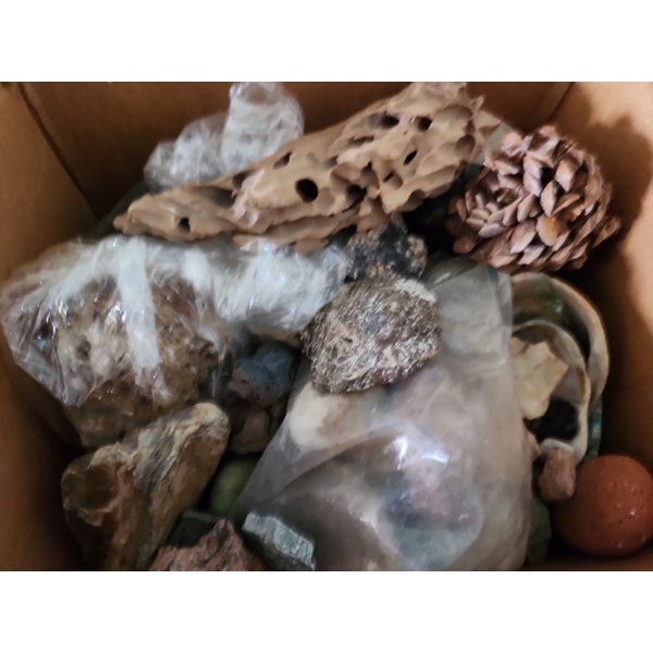 Big Box of Rocks and Shells , also Includes Driftwood 12 T
