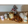 Image 1 : Curious Kitty Collection 6T