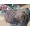 Image 6 : Collection of Roosters and Hens- Tallest w/ Crackle Finish 9 W, 15 T 
