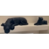 Image 1 : Unique XL Porcelain Panthers - Art Deco - Approximetly 3ft Long 