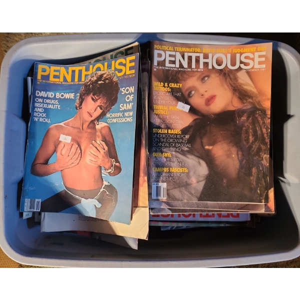 - Collection of Vintage Adult Magazines, Various Titles- Large Bin