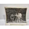 Image 5 : Collection of Tarzan Movie Stills