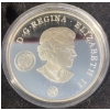 Image 3 : 2007 $20 International Polar Year Plasma Coin 92.5% Silver 27.78 Grams