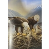 Image 4 : Birds & Butterfly's Books