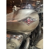 Image 5 : Vulcan 900 Motorcycle in great condition Beautiful touring bike with cover saddle bags 