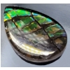 Image 3 : Ammolite (2.7 ct, 12×8×2.5 mm) 