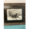 Image 2 : Two pencil art pieces by Bernie Brown, Purr-fect Playmates (20x14in), "Buddies" (19x16in).