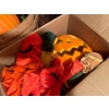 Image 5 : Halloween and Thanksgiving, decorations 4 large boxes