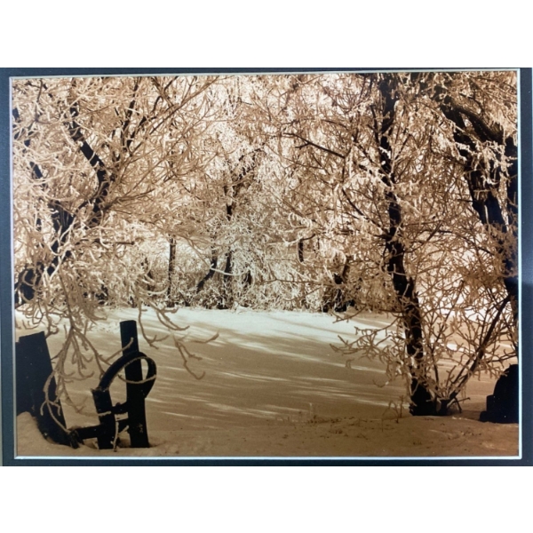 Captivating Framed Photo Print of a Nature Winter Scene