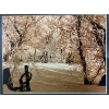 Image 1 : Captivating Framed Photo Print of a Nature Winter Scene
