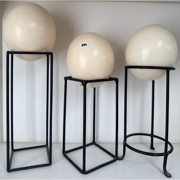 Ostrich Egg Collection