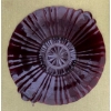 Image 2 : Vintage Anchor Hocking Old Royal Ruby Red Depression Glass Plate Set (12), 1 Plate Has a Small Chip