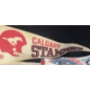 Image 4 : Collection of Pennants: Stampeders, Mariners, Twins, Bugs Bunny and More! Blue Bombers: 30 X 12