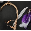 Image 4 : Various Ceremonial Smudging Materials