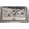 Image 4 : Glenn Korgaard Signed Limited Edition Wildlife Prints in Wooden Frames