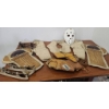 Image 2 : Vintage Collection of Hockey Equipment Including Mask, Pads, Skates, and Gloves