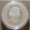 Image 3 : 2004 Proof Silver Dollar 99.9% Silver 25.175 Grams