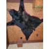 Image 3 : Vintage Bear Skin Rug 57x36 Black Bear  