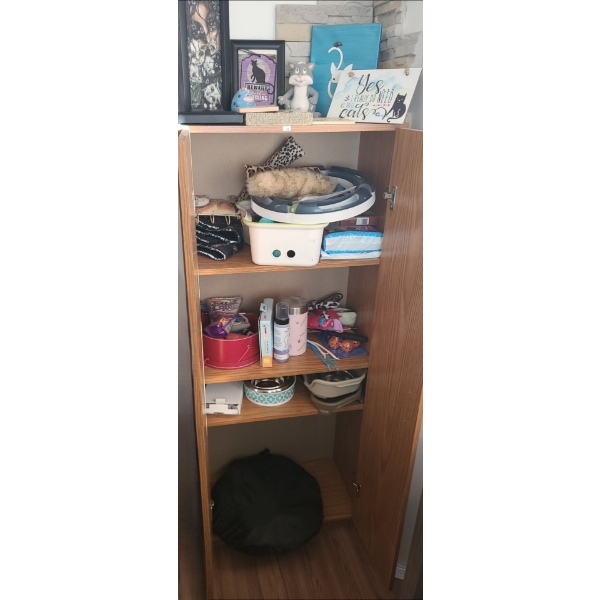 MDF Armoire 24 W, 15 D, 60 T with Cat Supplies, Also Includes Cat Themed Art and Decor